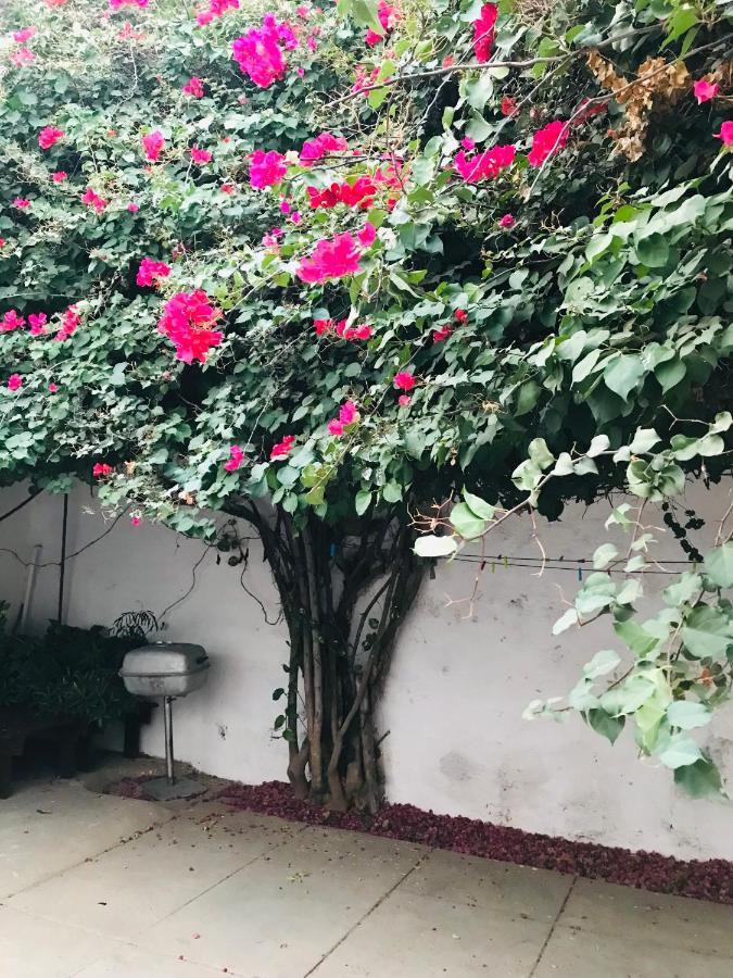 Syds Beach House プライア エクステリア 写真