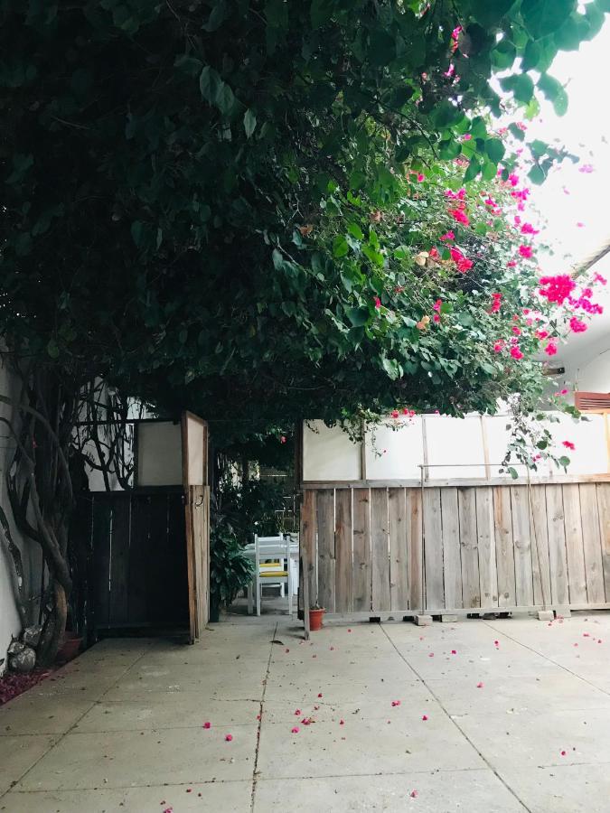 Syds Beach House プライア エクステリア 写真